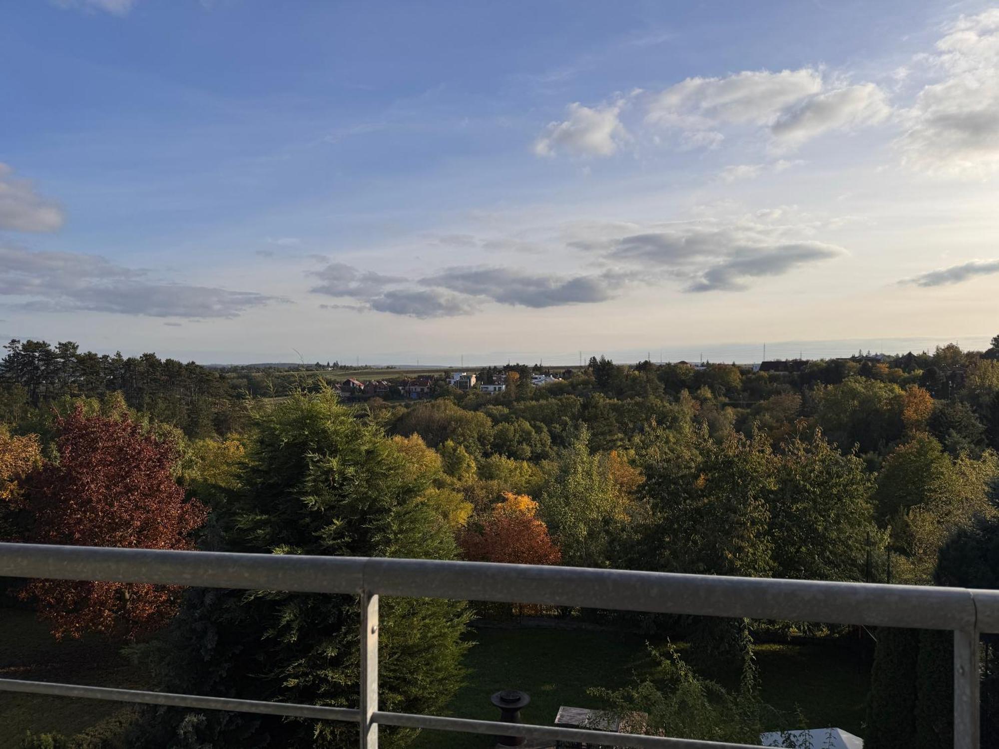 Diamondvilla, 4 Bedroom Apartment, Garden & Spa Praga Zewnętrze zdjęcie