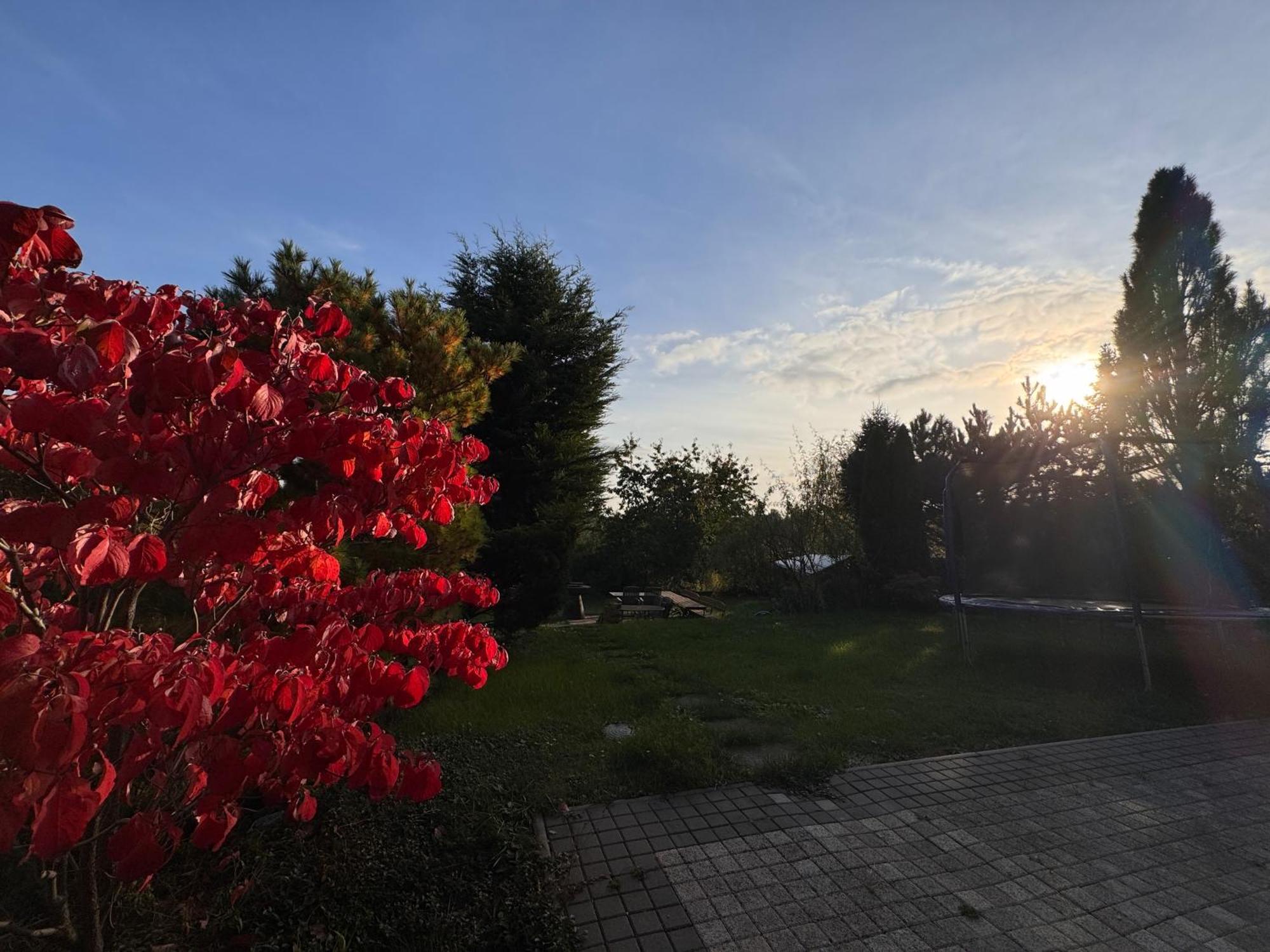 Diamondvilla, 4 Bedroom Apartment, Garden & Spa Praga Zewnętrze zdjęcie